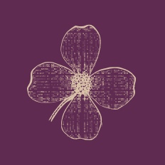 richmondplasticsurgeons.com icon