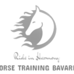 ride-in-harmony.com icon