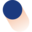 rie.nl logo