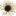 rifugioburigone.it icon
