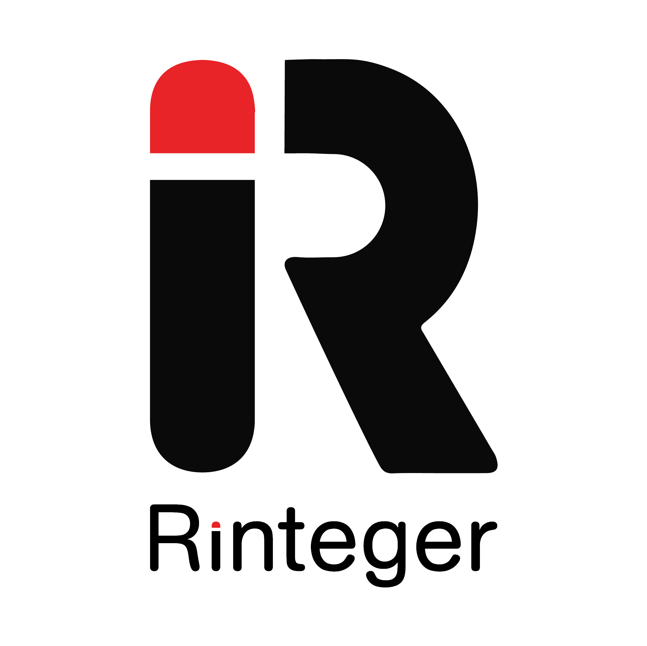 rinteger.com icon