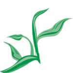 riverregionchamber.org icon