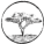rivertrees.com icon