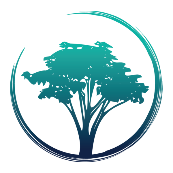 rivmediawebdesign.com.au icon