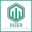 rizertechnology.com icon