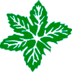 rmdsa.com icon