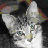 roadkil.net icon