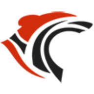 roarsolutions.com icon