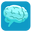 robertoapp.com icon