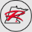 rochestermotorcars.com icon