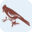 rockbrookcamp.com icon