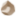 rockidentifier.com logo