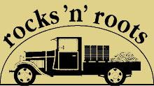 rocksnroots.com icon