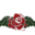 rodapark.com icon
