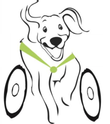 rollindogs.de icon
