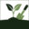 roosevelttrailgardencenter.com icon