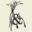 rootnboneindy.com icon