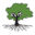 rootsofempathy.org icon