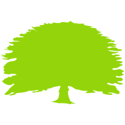 ropelpaso.com icon