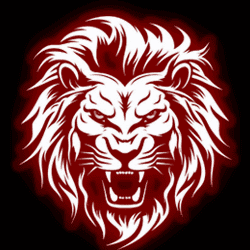 roro4d.com icon