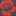 Rose Laundry Summer Hill logo