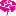 rosemaria.pl icon