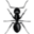 rovepestcontrol.com icon