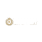 roxy21.com icon