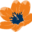 royal-deree-holland.com icon