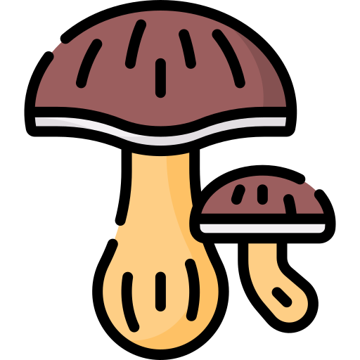 royalbet88.store icon