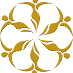 royalclinicdubai.com icon