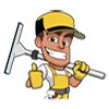 Royalview Window Cleaning logo