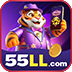 rtp55ll.com icon