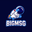 rtpbigmsg83.xyz icon