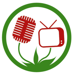 rtvlansingerland.nl icon