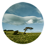 rubinsteinphoto.com icon