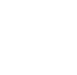runeturtle.com icon