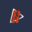runtobetgo.com icon