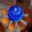 rustiquegarden.com icon