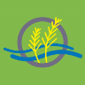 rw-ringe.de icon