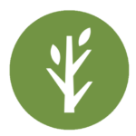 rwc-mn.com icon