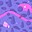 ryanvan.com icon