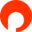 ryb.ru logo