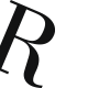 rybners.dk icon