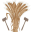 ryedaleauctioneers.com icon