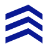 rzv.ru icon