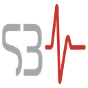 s3pulse.com icon