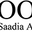 saadiaasad.com icon