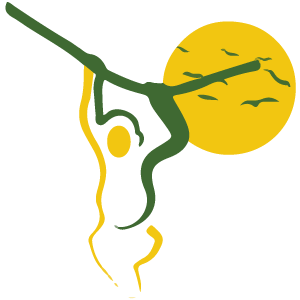 safari-inugandamurchisonfalls.com icon