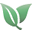 safarimultimedia.com icon